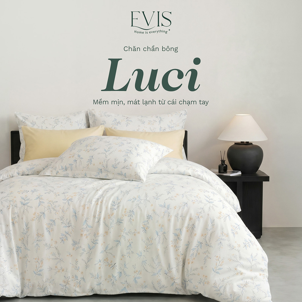 Chăn Chần Bông Lyocell Cao Cấp Evis LUCI